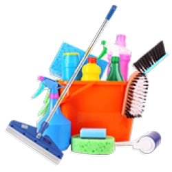 Cleaning Appliances