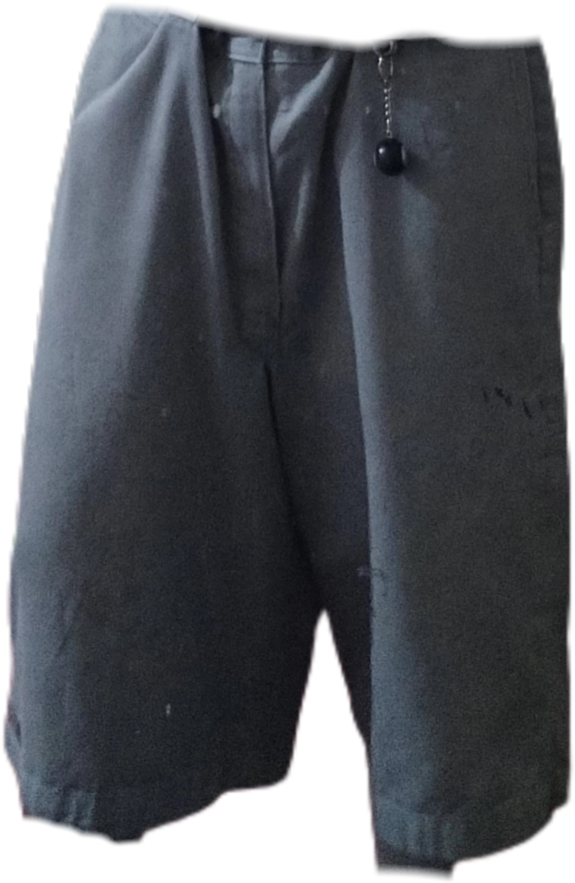 Dickies jorts