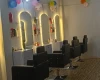 salon and related things